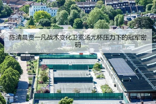 chen-qing-chen-jia-yi-fan-zhan-shu-bian-hua-wei-mian-tang-you-bei-ya-li-xia-de-guan-jun-mi-ma-2-594.jpg