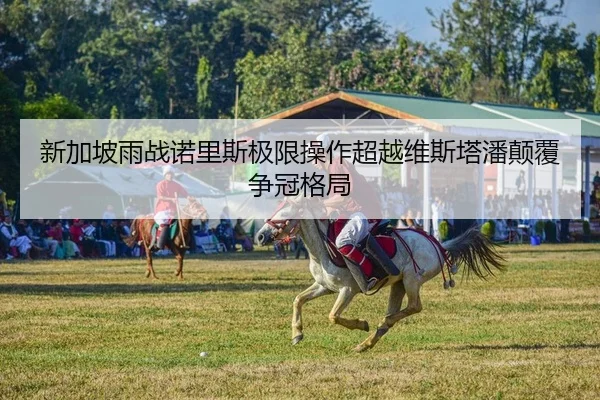 xin-jia-po-yu-zhan-nuo-li-si-ji-xian-cao-zuo-chao-yue-wei-si-ta-pan-dian-fu-zheng-guan-ge-ju-2-524.jpg